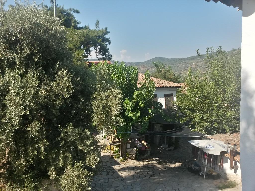 Zeytinli Konak Vendégház Selçuk Szoba fotó